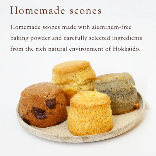 通常便 KLIM aluminum-free baking powder Scone with Hokkaido Natural Ingredients mix 11 types